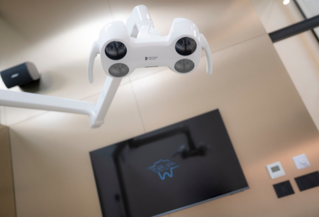 dr edin bukva – portrait